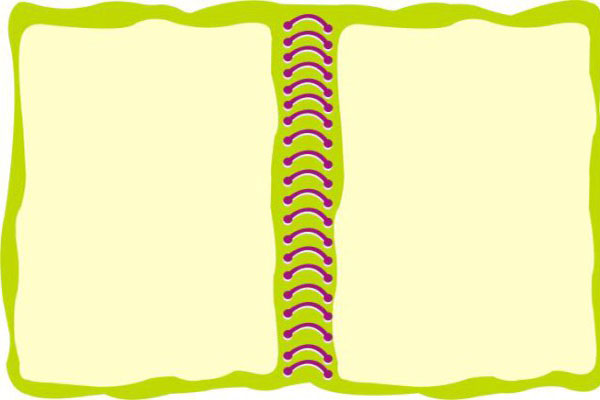 心的归宿_心的归宿