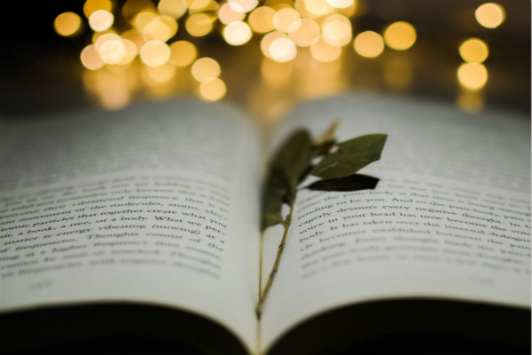 【花开花落一轮回下一句】花开花落一轮回 【花开花落一轮回下一句】花开花落一轮回